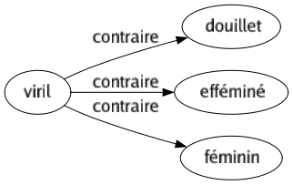 Contraire de Viril : Douillet Efféminé Féminin 