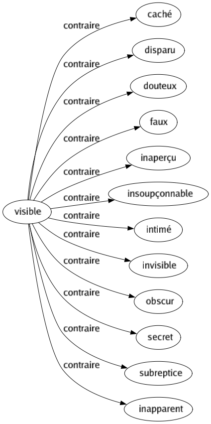 Contraire de Visible : Caché Disparu Douteux Faux Inaperçu Insoupçonnable Intimé Invisible Obscur Secret Subreptice Inapparent 