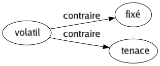 Contraire de Volatil : Fixé Tenace 