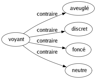 Contraire de Voyant : Aveuglé Discret Foncé Neutre 
