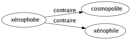 Contraire de Xénophobe : Cosmopolite Xénophile 