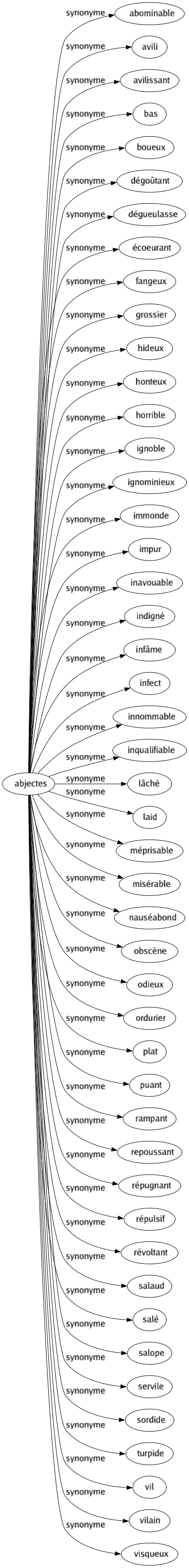 Synonyme de Abjectes : Abominable Avili Avilissant Bas Boueux Dégoûtant Dégueulasse Écoeurant Fangeux Grossier Hideux Honteux Horrible Ignoble Ignominieux Immonde Impur Inavouable Indigné Infâme Infect Innommable Inqualifiable Lâché Laid Méprisable Misérable Nauséabond Obscène Odieux Ordurier Plat Puant Rampant Repoussant Répugnant Répulsif Révoltant Salaud Salé Salope Servile Sordide Turpide Vil Vilain Visqueux 