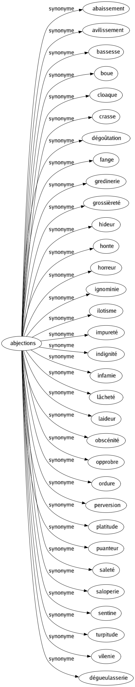 Synonyme de Abjections : Abaissement Avilissement Bassesse Boue Cloaque Crasse Dégoûtation Fange Gredinerie Grossièreté Hideur Honte Horreur Ignominie Ilotisme Impureté Indignité Infamie Lâcheté Laideur Obscénité Opprobre Ordure Perversion Platitude Puanteur Saleté Saloperie Sentine Turpitude Vilenie Dégueulasserie 