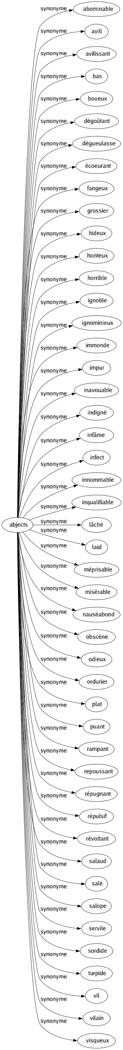 Synonyme de Abjects : Abominable Avili Avilissant Bas Boueux Dégoûtant Dégueulasse Écoeurant Fangeux Grossier Hideux Honteux Horrible Ignoble Ignominieux Immonde Impur Inavouable Indigné Infâme Infect Innommable Inqualifiable Lâché Laid Méprisable Misérable Nauséabond Obscène Odieux Ordurier Plat Puant Rampant Repoussant Répugnant Répulsif Révoltant Salaud Salé Salope Servile Sordide Turpide Vil Vilain Visqueux 