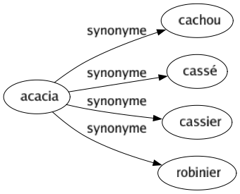 Synonyme de Acacia : Cachou Cassé Cassier Robinier 