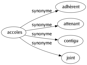 Synonyme de Accoles : Adhèrent Attenant Contigu Joint 