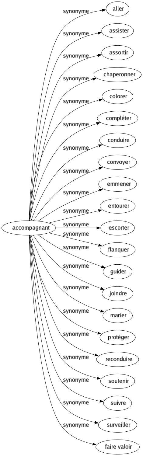 Synonyme de Accompagnant : Aller Assister Assortir Chaperonner Colorer Compléter Conduire Convoyer Emmener Entourer Escorter Flanquer Guider Joindre Marier Protéger Reconduire Soutenir Suivre Surveiller Faire valoir 