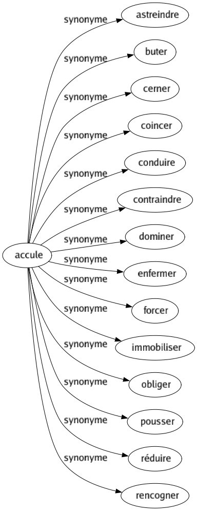 Synonyme de Accule : Astreindre Buter Cerner Coincer Conduire Contraindre Dominer Enfermer Forcer Immobiliser Obliger Pousser Réduire Rencogner 