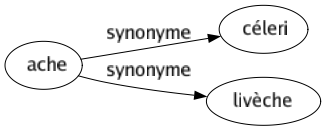 Synonyme de Ache : Céleri Livèche 