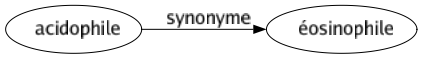 Synonyme de Acidophile : Éosinophile 