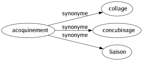 Synonyme de Acoquinement : Collage Concubinage Liaison 