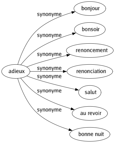 Synonyme de Adieux : Bonjour Bonsoir Renoncement Renonciation Salut Au revoir Bonne nuit 