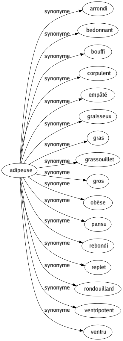 Synonyme de Adipeuse : Arrondi Bedonnant Bouffi Corpulent Empâté Graisseux Gras Grassouillet Gros Obèse Pansu Rebondi Replet Rondouillard Ventripotent Ventru 