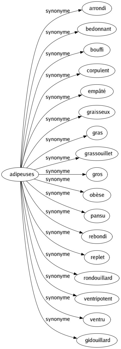 Synonyme de Adipeuses : Arrondi Bedonnant Bouffi Corpulent Empâté Graisseux Gras Grassouillet Gros Obèse Pansu Rebondi Replet Rondouillard Ventripotent Ventru Gidouillard 