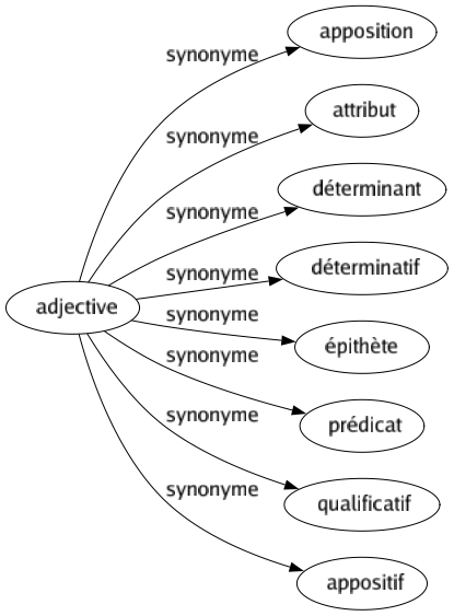 Synonyme de Adjective : Apposition Attribut Déterminant Déterminatif Épithète Prédicat Qualificatif Appositif 