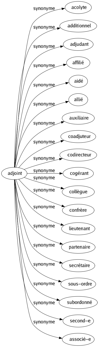 Synonyme de Adjoint : Acolyte Additionnel Adjudant Affilié Aidé Allié Auxiliaire Coadjuteur Codirecteur Cogérant Collègue Confrère Lieutenant Partenaire Secrétaire Sous-ordre Subordonné Second-e Associé-e 