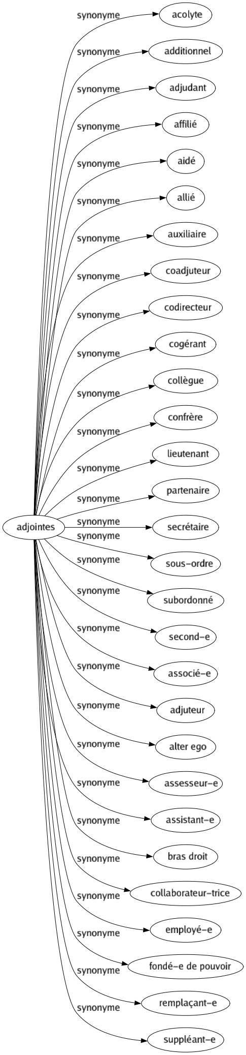 Synonyme de Adjointes : Acolyte Additionnel Adjudant Affilié Aidé Allié Auxiliaire Coadjuteur Codirecteur Cogérant Collègue Confrère Lieutenant Partenaire Secrétaire Sous-ordre Subordonné Second-e Associé-e Adjuteur Alter ego Assesseur-e Assistant-e Bras droit Collaborateur-trice Employé-e Fondé-e de pouvoir Remplaçant-e Suppléant-e 