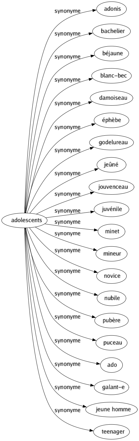 Synonyme de Adolescents : Adonis Bachelier Béjaune Blanc-bec Damoiseau Éphèbe Godelureau Jeûné Jouvenceau Juvénile Minet Mineur Novice Nubile Pubère Puceau Ado Galant-e Jeune homme Teenager 