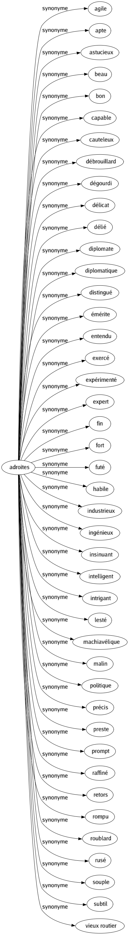 Synonyme de Adroites : Agile Apte Astucieux Beau Bon Capable Cauteleux Débrouillard Dégourdi Délicat Délié Diplomate Diplomatique Distingué Émérite Entendu Exercé Expérimenté Expert Fin Fort Futé Habile Industrieux Ingénieux Insinuant Intelligent Intrigant Lesté Machiavélique Malin Politique Précis Preste Prompt Raffiné Retors Rompu Roublard Rusé Souple Subtil Vieux routier 