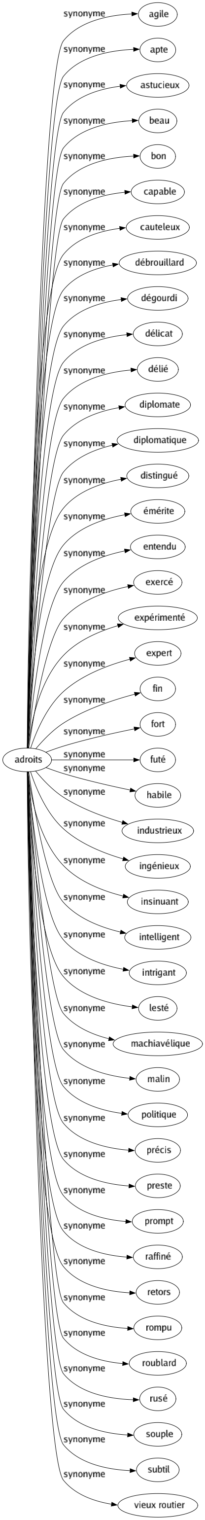 Synonyme de Adroits : Agile Apte Astucieux Beau Bon Capable Cauteleux Débrouillard Dégourdi Délicat Délié Diplomate Diplomatique Distingué Émérite Entendu Exercé Expérimenté Expert Fin Fort Futé Habile Industrieux Ingénieux Insinuant Intelligent Intrigant Lesté Machiavélique Malin Politique Précis Preste Prompt Raffiné Retors Rompu Roublard Rusé Souple Subtil Vieux routier 