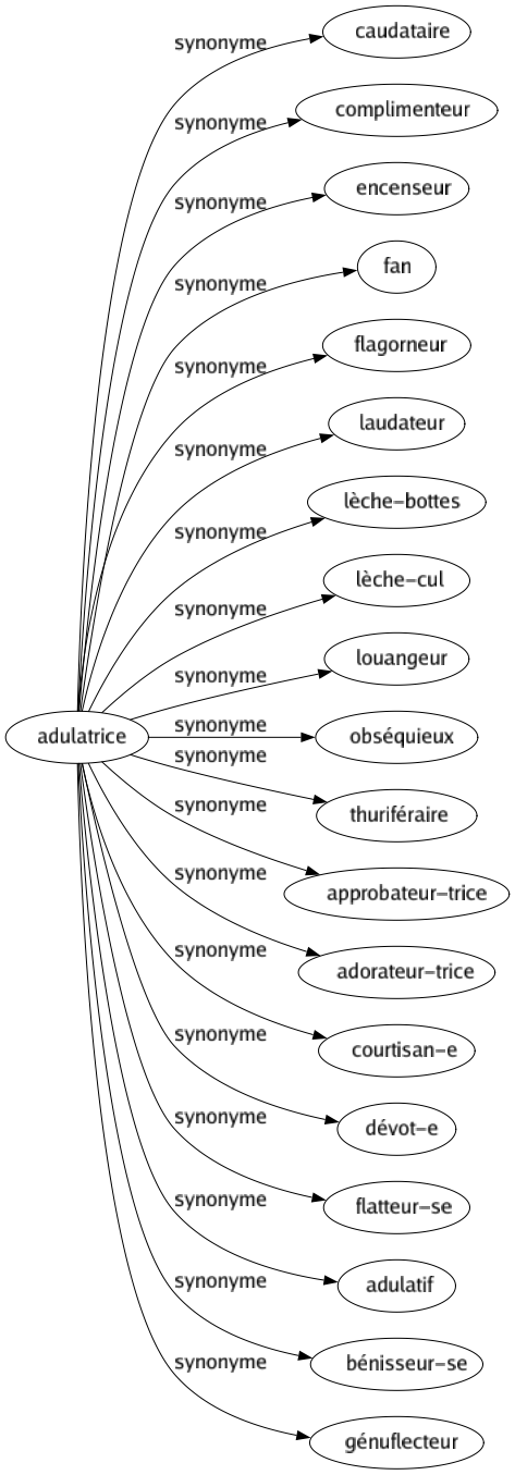 Synonyme de Adulatrice : Caudataire Complimenteur Encenseur Fan Flagorneur Laudateur Lèche-bottes Lèche-cul Louangeur Obséquieux Thuriféraire Approbateur-trice Adorateur-trice Courtisan-e Dévot-e Flatteur-se Adulatif Bénisseur-se Génuflecteur 