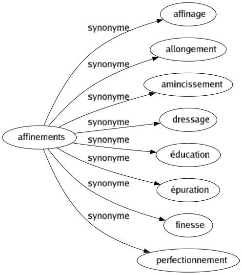 Synonyme de Affinements : Affinage Allongement Amincissement Dressage Éducation Épuration Finesse Perfectionnement 