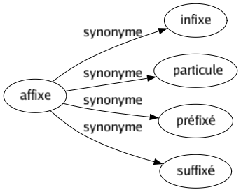 Synonyme de Affixe : Infixe Particule Préfixé Suffixé 