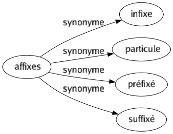 Synonyme de Affixes : Infixe Particule Préfixé Suffixé 