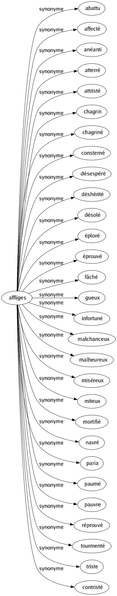 Synonyme de Affliges : Abattu Affecté Anéanti Atterré Attristé Chagrin Chagriné Consterné Désespéré Déshérité Désolé Éploré Éprouvé Fâché Gueux Infortuné Malchanceux Malheureux Miséreux Miteux Mortifié Navré Paria Paumé Pauvre Réprouvé Tourmenté Triste Contristé 