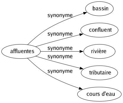 Synonyme de Affluentes : Bassin Confluent Rivière Tributaire Cours d'eau 