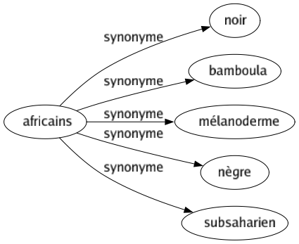 Synonyme de Africains : Noir Bamboula Mélanoderme Nègre Subsaharien 