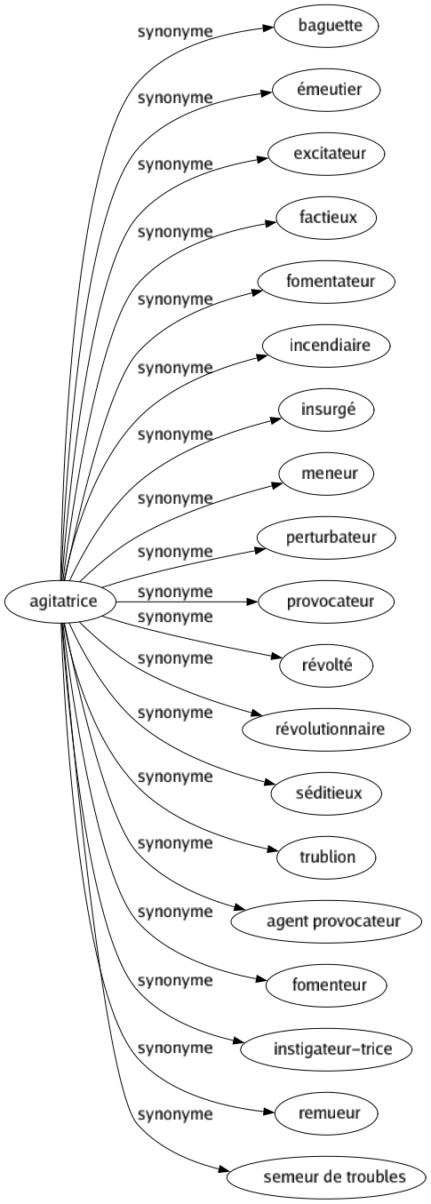 Synonyme de Agitatrice : Baguette Émeutier Excitateur Factieux Fomentateur Incendiaire Insurgé Meneur Perturbateur Provocateur Révolté Révolutionnaire Séditieux Trublion Agent provocateur Fomenteur Instigateur-trice Remueur Semeur de troubles 