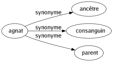 Synonyme de Agnat : Ancêtre Consanguin Parent 