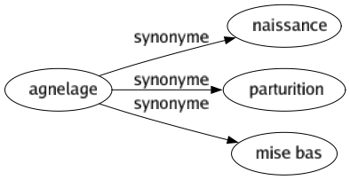 Synonyme de Agnelage : Naissance Parturition Mise bas 