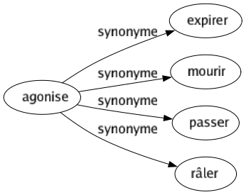 Synonyme de Agonise : Expirer Mourir Passer Râler 