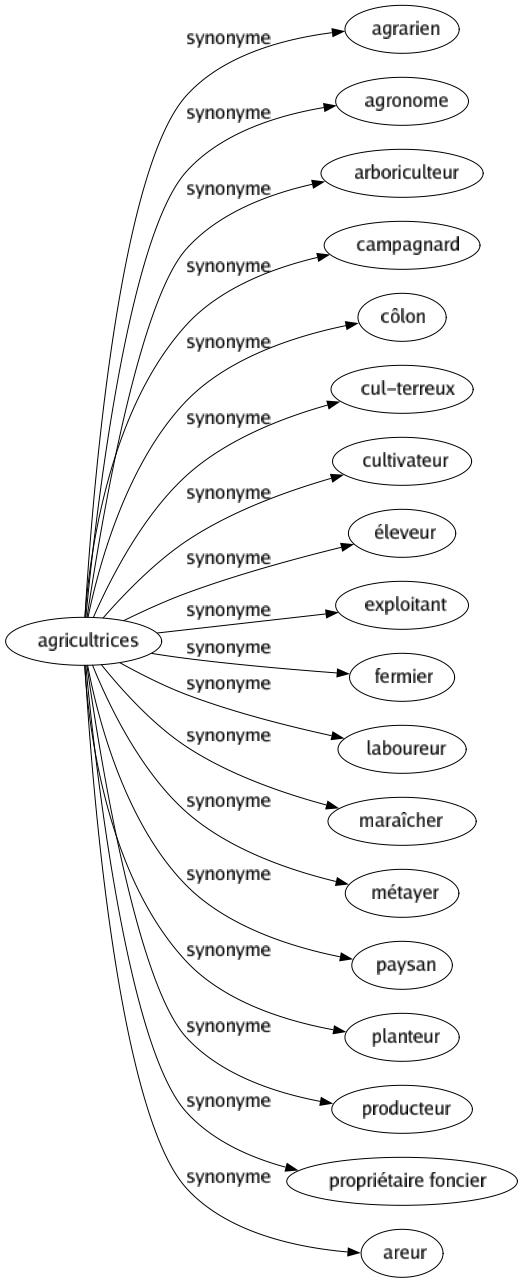 Synonyme de Agricultrices : Agrarien Agronome Arboriculteur Campagnard Côlon Cul-terreux Cultivateur Éleveur Exploitant Fermier Laboureur Maraîcher Métayer Paysan Planteur Producteur Propriétaire foncier Areur 