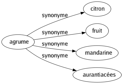 Synonyme de Agrume : Citron Fruit Mandarine Aurantiacées 