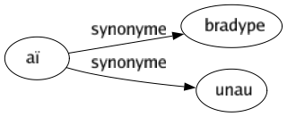 Synonyme de Aï : Bradype Unau 