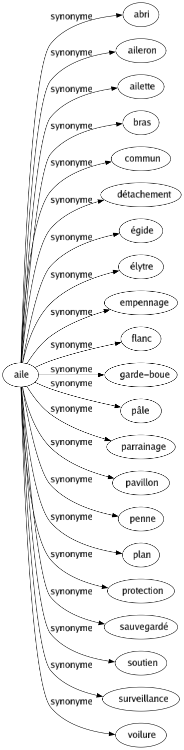 Synonyme de Aile : Abri Aileron Ailette Bras Commun Détachement Égide Élytre Empennage Flanc Garde-boue Pâle Parrainage Pavillon Penne Plan Protection Sauvegardé Soutien Surveillance Voilure 