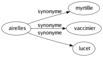 Synonyme de Airelles : Myrtille Vaccinier Lucet 