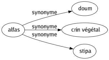 Synonyme de Alfas : Doum Crin végétal Stipa 