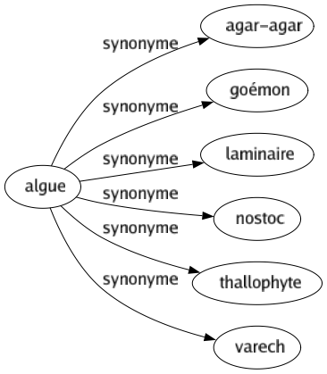 Synonyme de Algue : Agar-agar Goémon Laminaire Nostoc Thallophyte Varech 