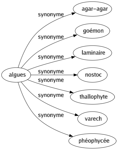 Synonyme de Algues : Agar-agar Goémon Laminaire Nostoc Thallophyte Varech Phéophycée 
