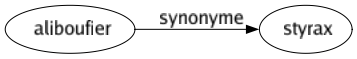 Synonyme de Aliboufier : Styrax 