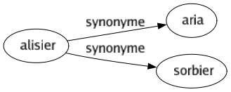 Synonyme de Alisier : Aria Sorbier 