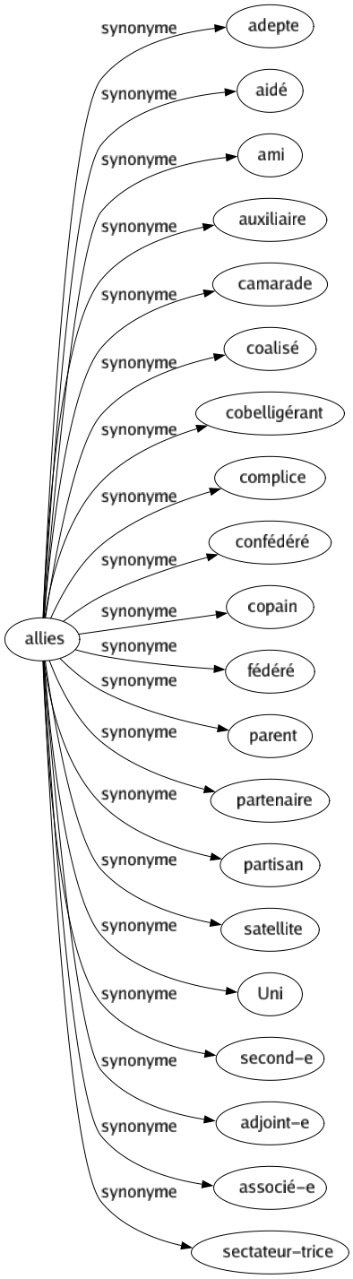 Synonyme de Allies : Adepte Aidé Ami Auxiliaire Camarade Coalisé Cobelligérant Complice Confédéré Copain Fédéré Parent Partenaire Partisan Satellite Uni Second-e Adjoint-e Associé-e Sectateur-trice 