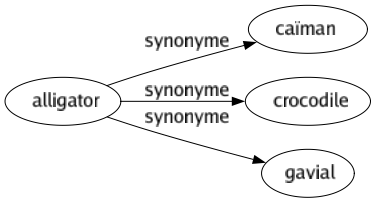 Synonyme de Alligator : Caïman Crocodile Gavial 
