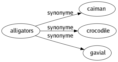Synonyme de Alligators : Caïman Crocodile Gavial 