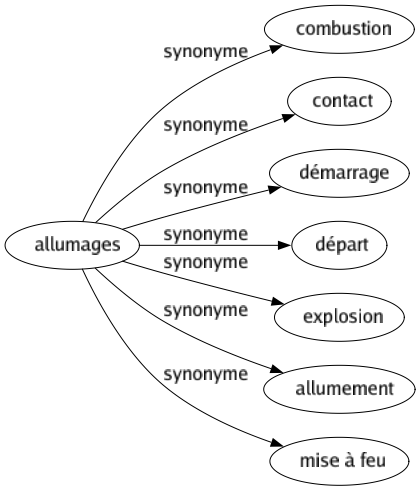 Synonyme de Allumages : Combustion Contact Démarrage Départ Explosion Allumement Mise à feu 