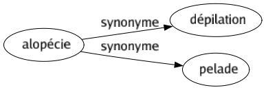 Synonyme de Alopécie : Dépilation Pelade 